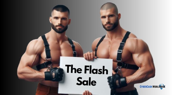 The Flash Sale